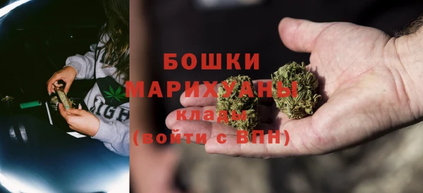 МДПВ Лиски