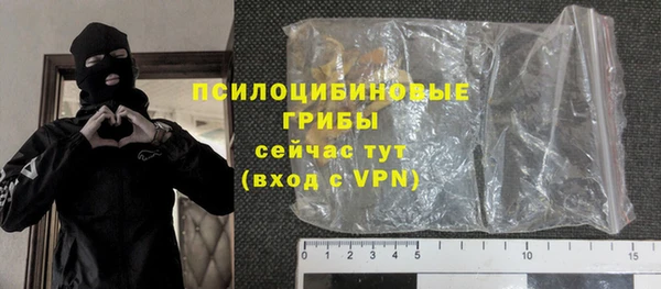 ГАЛЛЮЦИНОГЕННЫЕ ГРИБЫ Бердск