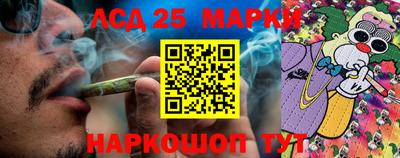 сатива Камышлов