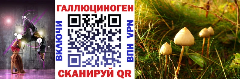 Галлюциногенные грибы ЛСД Благовещенск