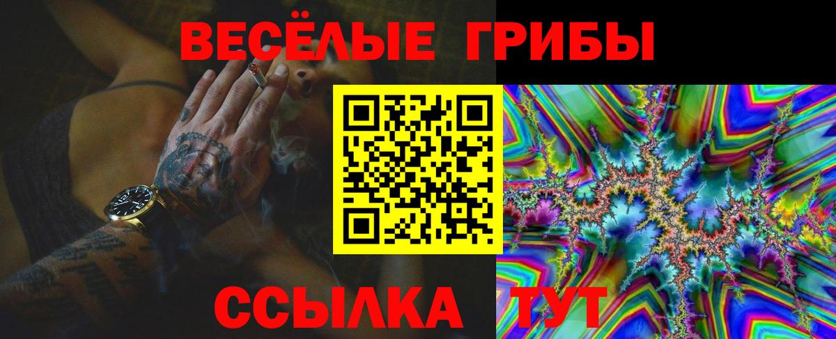 Галлюциногенные грибы мицелий Благовещенск