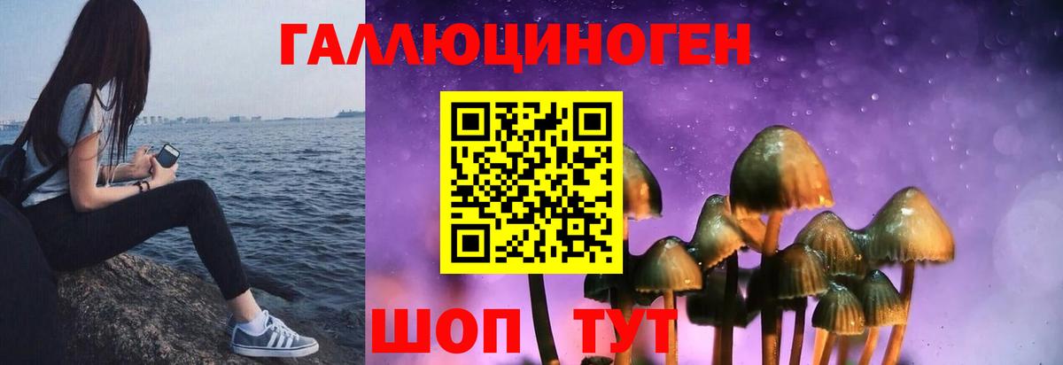 Галлюциногенные грибы GOLDEN TEACHER  Вход с VPN  Благовещенск  Галлюциногенные грибы Cubensis 